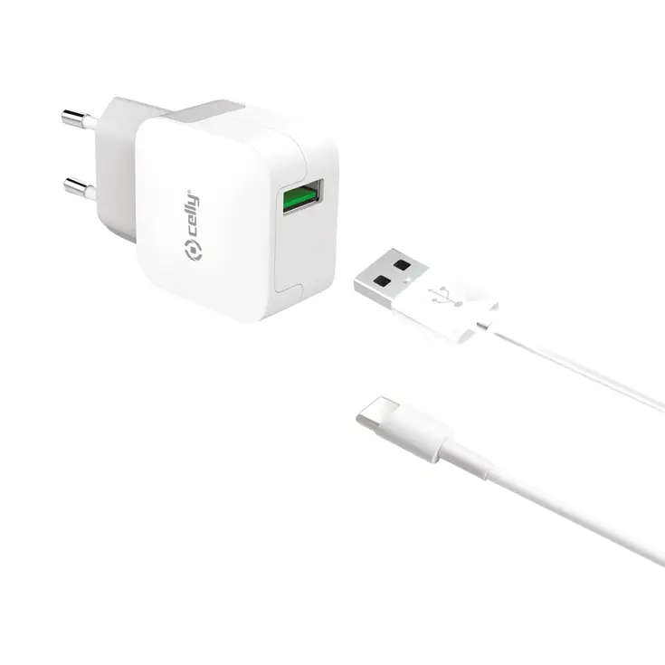 Universele 230V USB-C thuislader met 2.4A output