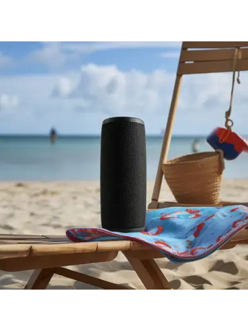 BTV150BLACK Bluetooth Speaker