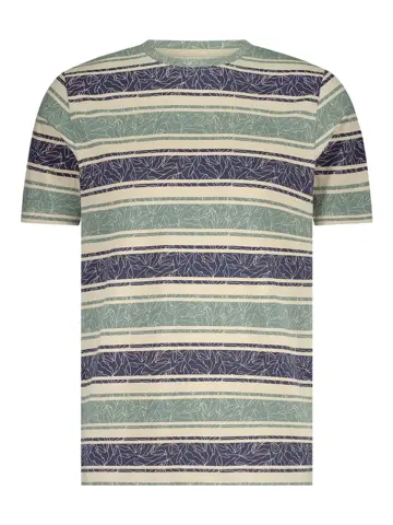 Davie - T-shirt heren - Human Nature