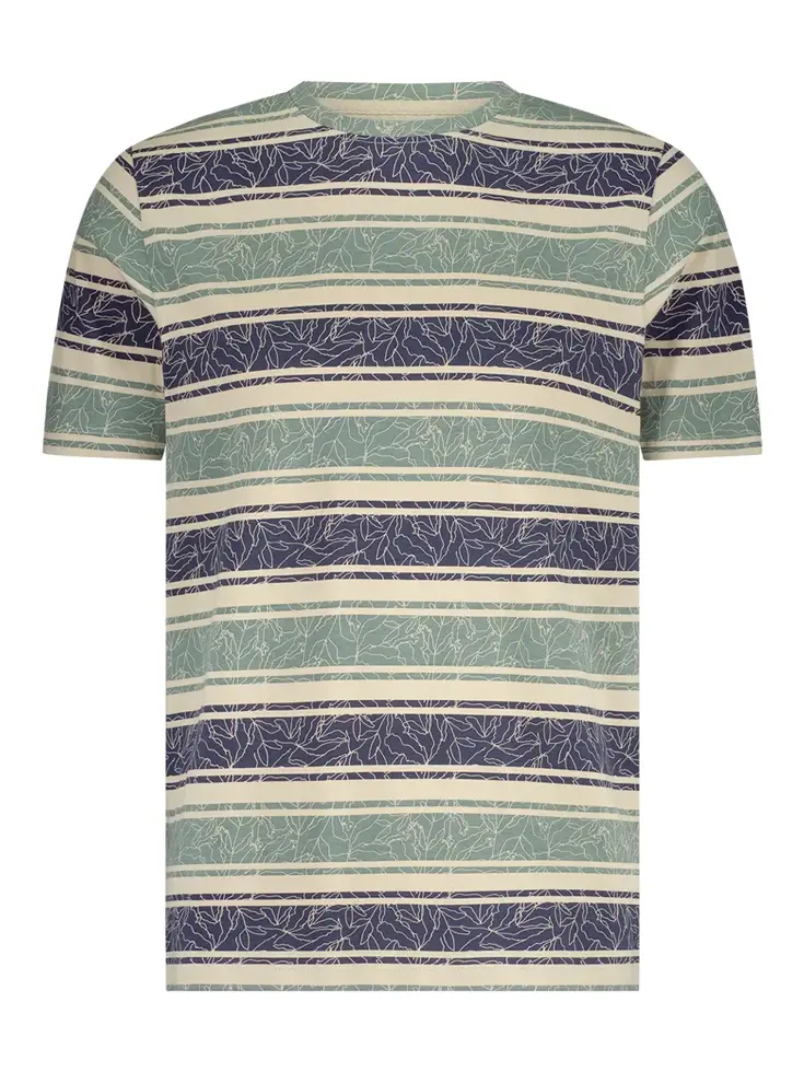 Davie - T-shirt heren - Human Nature