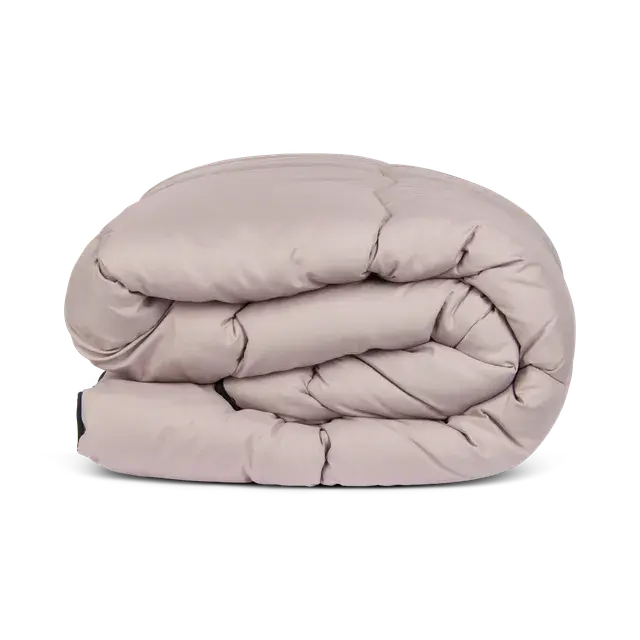 Troonz Dekbed Zonder Overtrek 200x200