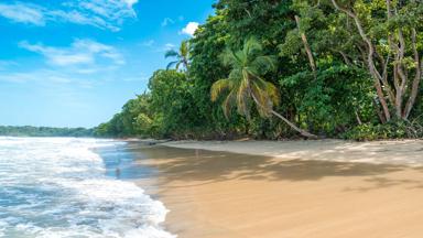 costa-rica_cahuita_cahuita-nationaal-park_strand_shutterstock_643841854