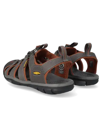 Clearwater CNX - Wandelschoenen - Heren