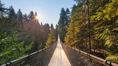 Capilano Suspension Bridge - Credit Destination Vancouver – Capilano Suspension Bridge Park