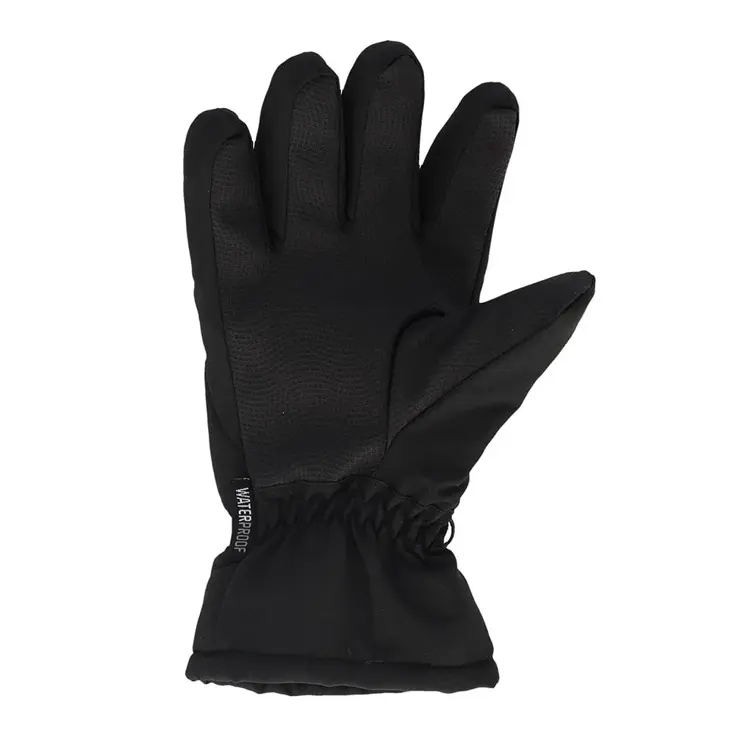 Kinderen - Ski Handschoenen