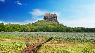 sri lanka_sigiriya_leeuwenrots_b