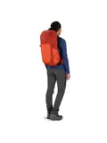 Osprey Tempest Pro 30 silver lining