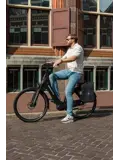 Voltano Luxe E-bike Fietstas / Rugtas