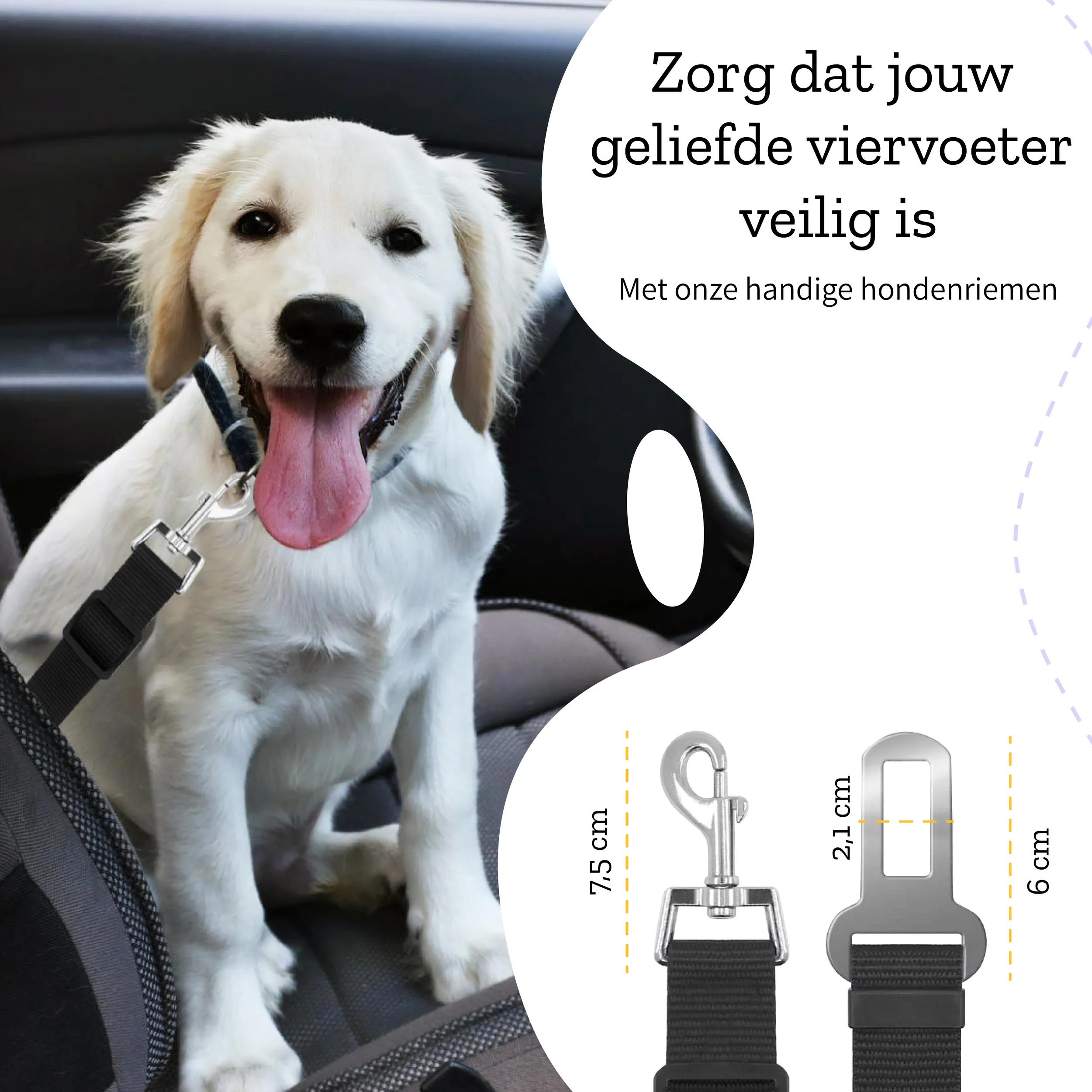 Anti-slip - Hondenschoenen kopen? | Korting tot