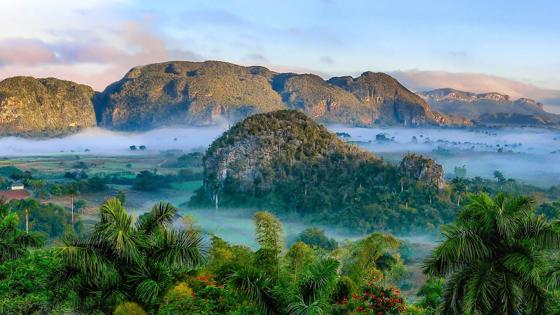 Vinales