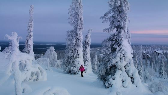 finland _fins-lapland_levi-sneeuwschoenwandelen-bos1