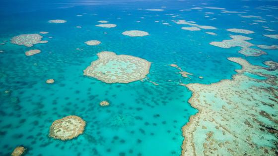 australie_queensland_great-barrier-reef_luchtfoto_koraalrif_shutterstock