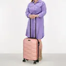 Beagles - Go Travel - Handbagage 55cm