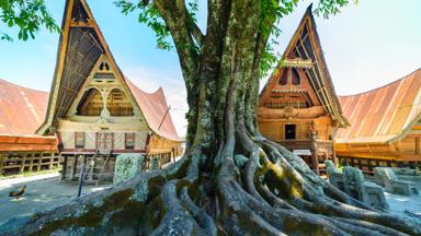 indonesie_sumatra_samosir_tobameer_batak-huis_traditioneel_boom_shutterstock_1389380861