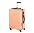 PT-01 Met Weegschaal Medium Trolley  | 65 L