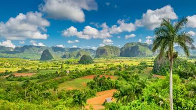 cuba_pinar-del-rio_vinales_beste-reistijd-cuba_vinales-vallei_mogotes_bomen_shutterstock