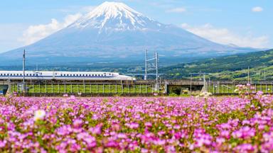 Japan-Mount-Fuji-Bloemen-Trein-Shinkansen-shutterstock