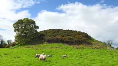 ierland_county-meath_boyne-valley_dowth-grafheuvel_prehistorie_schaap_shutterstock