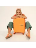 Steady Cabin Trolley  | 38 L