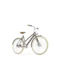 Dublin E-Bike Dames 54CM
