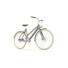 DUBLIN E-BIKE DAMES 54CM TAUPE