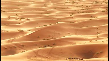 marokko_erg-chebbi-woestijn_merzouga_woestijnlandschap_luchtfoto_zandduinen_mensen_kamelentocht_kameel_dromedaris_w