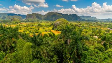 cuba_pinar-del-rio_vinales-valley_shutterstock_1486595303