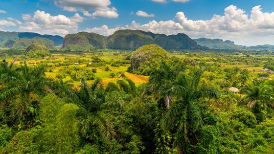 cuba_pinar-del-rio_vinales-valley_shutterstock_1486595303