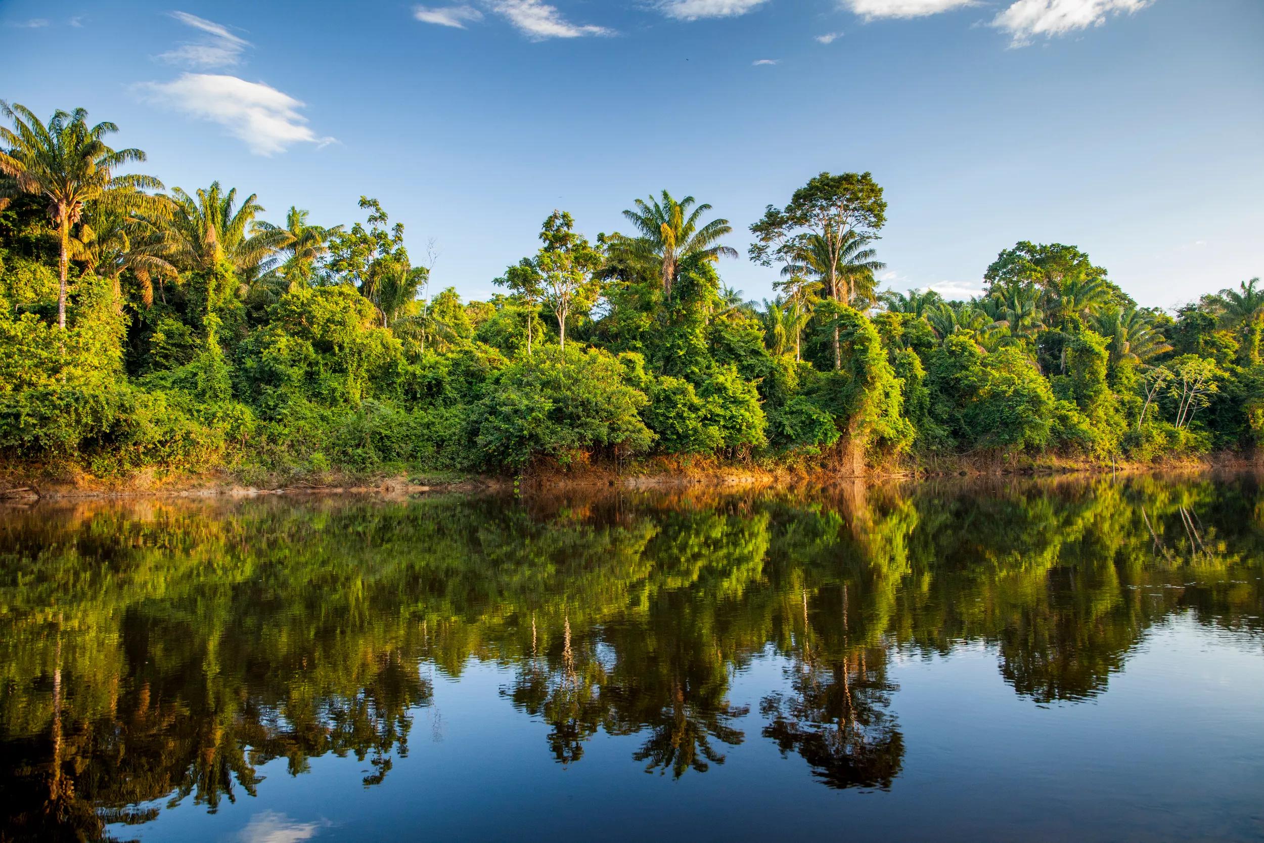 wat te doen in suriname
