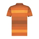 Hassel – Polo heren