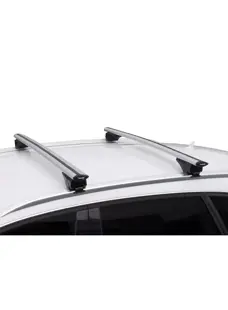 Fly Bar - Universele dakdragerset - Twinny Load