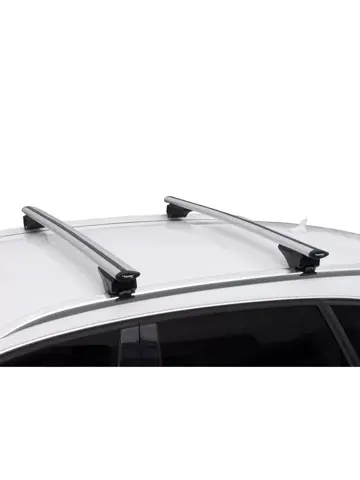 Fly Bar - Universele dakdragerset - Twinny Load