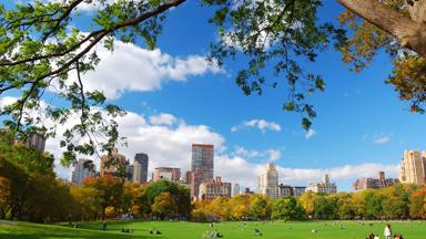 verenigde-staten_new-york_new-york_central-park_b