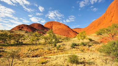 australie_noordelijk-territorium_alice-springs_kata-tjuta-uitzicht_rode-steen_begroeiing_bomen_shutterstock