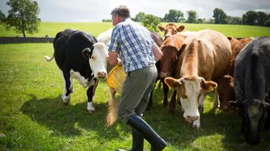 bed-and-breakfast-ierland_algemeen_farm-experience_boerderij_verblijf_bandb_ireland_h (9)