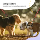 Reflecterende Hondenriem 3m