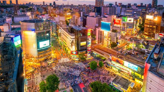 japan_honshu_tokyo_shibuya-crossing_avond_neon_zebrapad_drukte_shutterstock_666197236