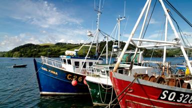 ierland_county_cork_glandore_haven_gekleurde_boten_tourism_ireland