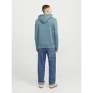 Heren Luke Sweat Hood Jack & Jones
