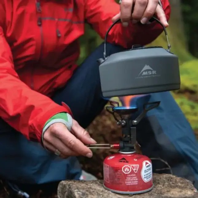 MSR – Gasbusje – 113 g – Brandstof