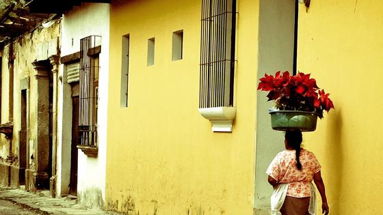 Dit beeld mag alleen gebruikt worden voor en door de business line Reizen. Binnen Reizen mag dit beeld online gebruikt worden en in print tot een oplage van maximaal 500.000.