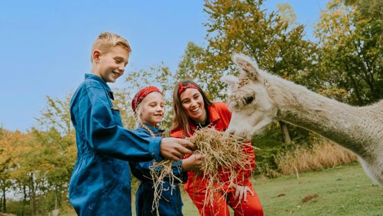 Vakantiepark Dierenbos