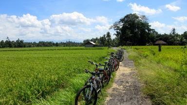 indonesie_bali_ubud_fietstocht_w.jpg