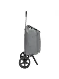 Shop&Go - Boodschappenkar - Opvouwbaar - 40L
