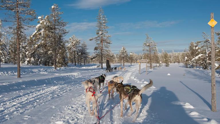 KCK Kamperen in een winters Zweden Er wordt ook gelanglaufd, gewandeld met sneeuwschoenen, ijs gevist en sneeuwscooter gereden., Canon 1D Mark III