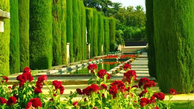 spanje-andalusie-granada-alhambra-tuin-rozen_pixabay.jpg