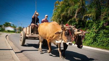 cuba_vinales_os en wagen met twee mannen_b