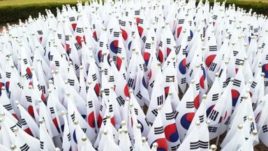 Fox Reizen_Zuid-Korea_vlag