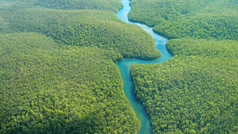 peru_amazone_tambopata_luchtfoto jungle rivier_b.jpg