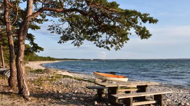 zweden_oland_kust_baltische-zee_shutterstock_1498960739